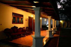 New Greenish Villa